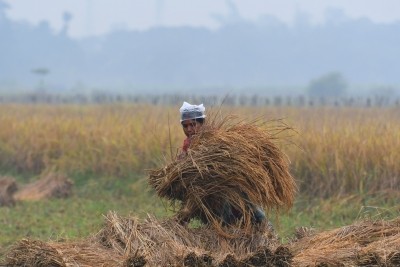 PMK says hike in minimum support price for paddy not sufficient PMK says hike in minimum support price for paddy not sufficient