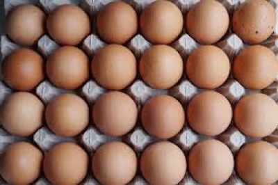 Egg prices soar in TN, farmers blame hike in fodder prices