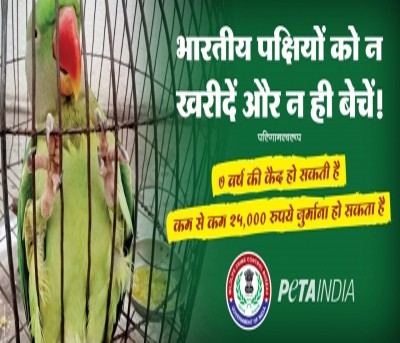 Caging Birds? Beware !! Caging Birds? Beware !!