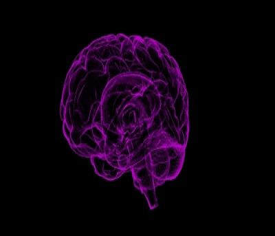 Reducing air pollution may improve brain development in children Reducing air pollution may improve brain development in children
