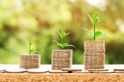 Selloff 2022: Foreign Portfolio Investors (FPI) or Fair Weather Friends (FWF)? Selloff 2022: Foreign Portfolio Investors (FPI) or Fair Weather Friends (FWF)?