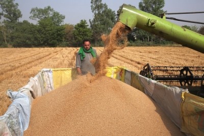 India's global role as a net food security provider grows despite ban on wheat exports