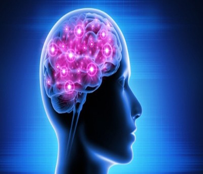 Human brains are hotter than thought, particularly women's: Study Human brains are hotter than thought, particularly women's: Study