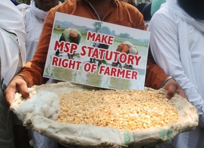 Industry stakeholders welcome MSP hike, farmer activists criticise