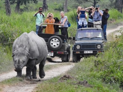 Over 64% tourists' increase in Assam's Kaziranga national park Over 64% tourists' increase in Assam's Kaziranga national park