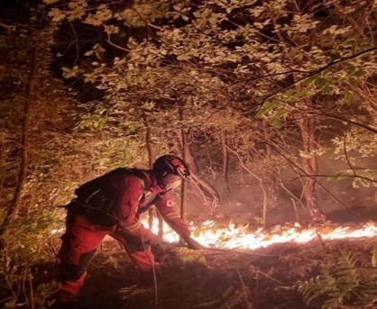 Wildfire continues for 3rd day in S.Korea Wildfire continues for 3rd day in S.Korea