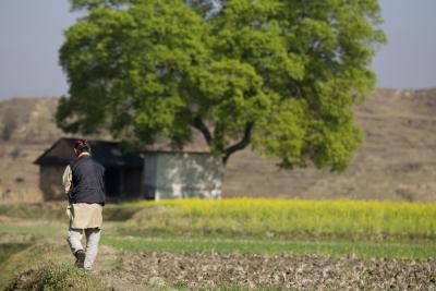 IFAD partners with Uttarakhand to double rural incomes, build climate resilient state IFAD partners with Uttarakhand to double rural incomes, build climate resilient state