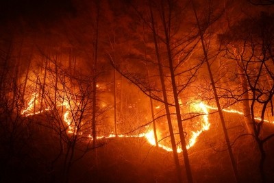 S.Korea vows all-out efforts to put out wildfire S.Korea vows all-out efforts to put out wildfire