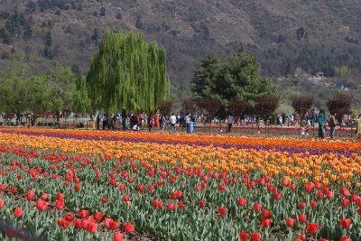 Dry weather with clear sky likely in J&K: MeT Dry weather with clear sky likely in J&K: MeT
