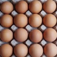 Egg prices soar in TN, farmers blame hike in fodder prices