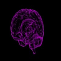 Reducing air pollution may improve brain development in children