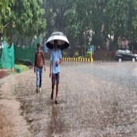 Enhanced rainfall likely over NW & Central India from Monday: IMD