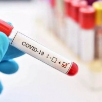 Delhi reports 1,323 fresh Covid cases, 2 deaths