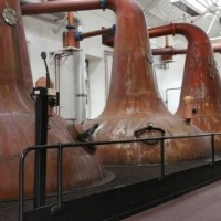 UP to emerge as hub of distilleries