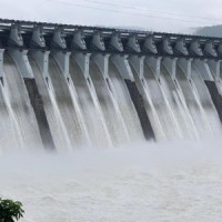 Only 10 states have set up committees for dam safety: Centre