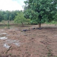 3 CRPF jawans killed in Maoists ambush in Odisha's Nuapada