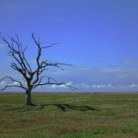 'EU hypocrisy as climate champion exposed at Bonn climate conference'