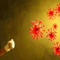 Explained: How Covid virus uses body's fat cells to replicate