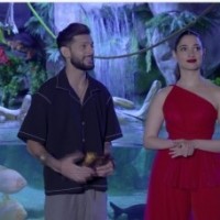 IIFA telecast shows where all the stars unwound at Yas Island before awards gala