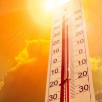 Spain bakes in worst June heatwave in 20 years