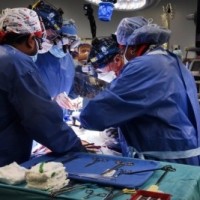 Multiple organs harvested from brain-dead youth in Coimbatore