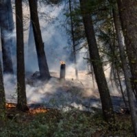 Wildfires rage in Catalonia as heatwave continues to hit Spain