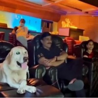 Mining baron Janardhana Reddy watches '777 Charlie' with pet dog