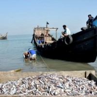Cage Farming: Goa Forward Party wants only locals engaged
