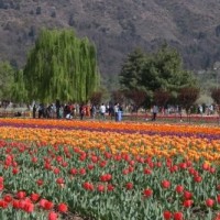 Dry weather with clear sky likely in J&K: MeT