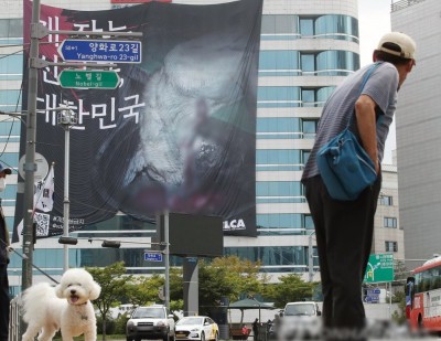 Bill calling for dog meat consumption ban proposed at Seoul city council Bill calling for dog meat consumption ban proposed at Seoul city council