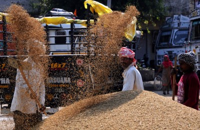 Telangana farmers emerge largest beneficiary for last season's paddy MSP Telangana farmers emerge largest beneficiary for last season's paddy MSP