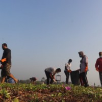 Eco warriors of UoH, PU join hands for Puducherry beach clean-up drive