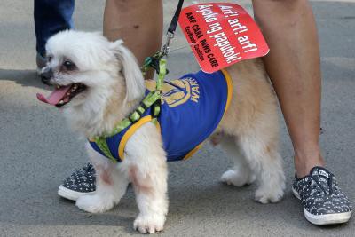 'Dog in the car' helped police in nabbing murder accused 'Dog in the car' helped police in nabbing murder accused