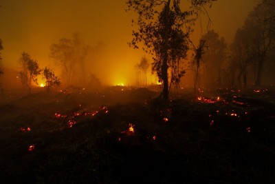 Odisha forest fires: Centre to send expert panel