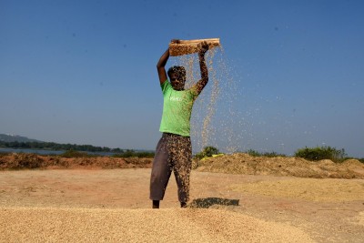 Bullish commodity prices boost agri export prospects Bullish commodity prices boost agri export prospects