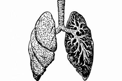 IISc researchers develop new, faster way to detect TB IISc researchers develop new, faster way to detect TB