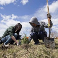Nations to adopt ecosystem accounting