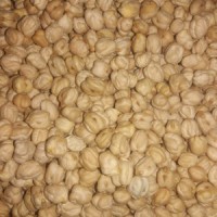 Dollar chana prices soar on bullish demand, globally weak stocks