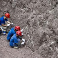 Dinosaur toe bone found in South Korea