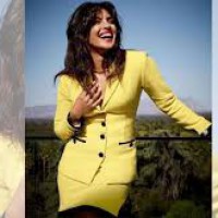Priyanka Chopra received negativity from South Asians, too