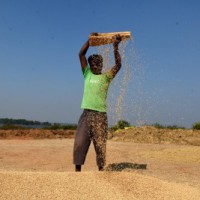 Bullish commodity prices boost agri export prospects