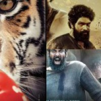 Regional biggies go multilingual for better reach with new films