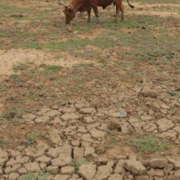 Why solving Bundelkhand's water crisis is an annual mirage