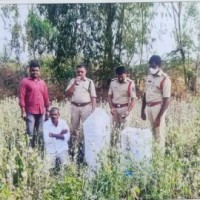 2 held in T'gana for illegal cultivation of opium poppy straw