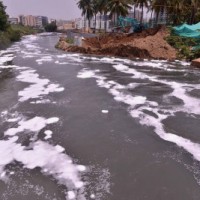 Bengaluru's Bellandur lake catches fire again