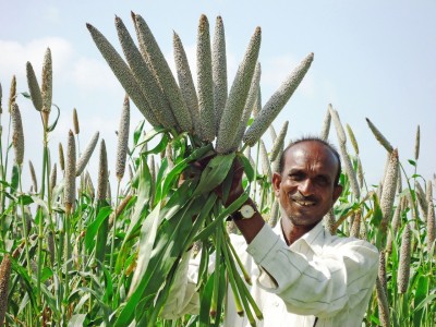 TN to form millet special zones TN to form millet special zones