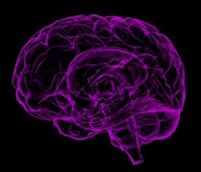 Even mild Covid can shrink brain regions related to smell: Study Even mild Covid can shrink brain regions related to smell: Study