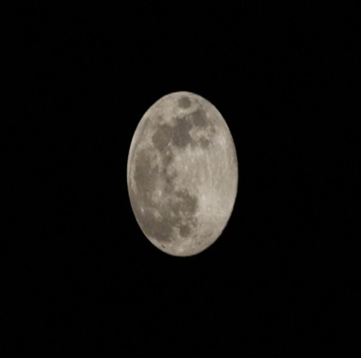 Watch skies as 'Worm Moon' reaches peak on Friday Watch skies as 'Worm Moon' reaches peak on Friday