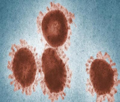 Cancer drugs might be able to target tuberculosis Cancer drugs might be able to target tuberculosis