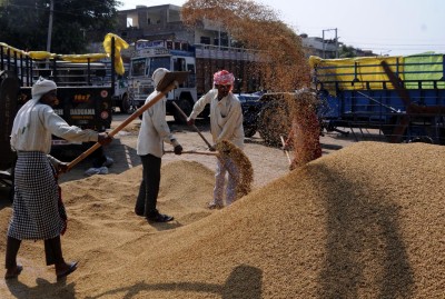 Wheat exports gets fresh push as war unsettles global supply dynamics Wheat exports gets fresh push as war unsettles global supply dynamics